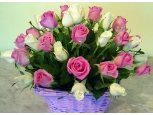 Passionate Affection - 24 Stems Basket